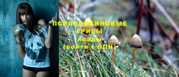 метамфетамин Аркадак