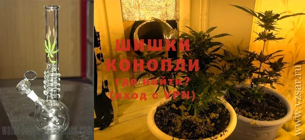 индика Алексеевка